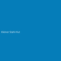 Kleiner Stahl-Hut
