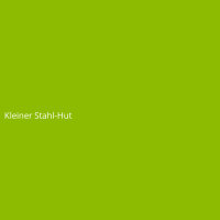 Kleiner Stahl-Hut